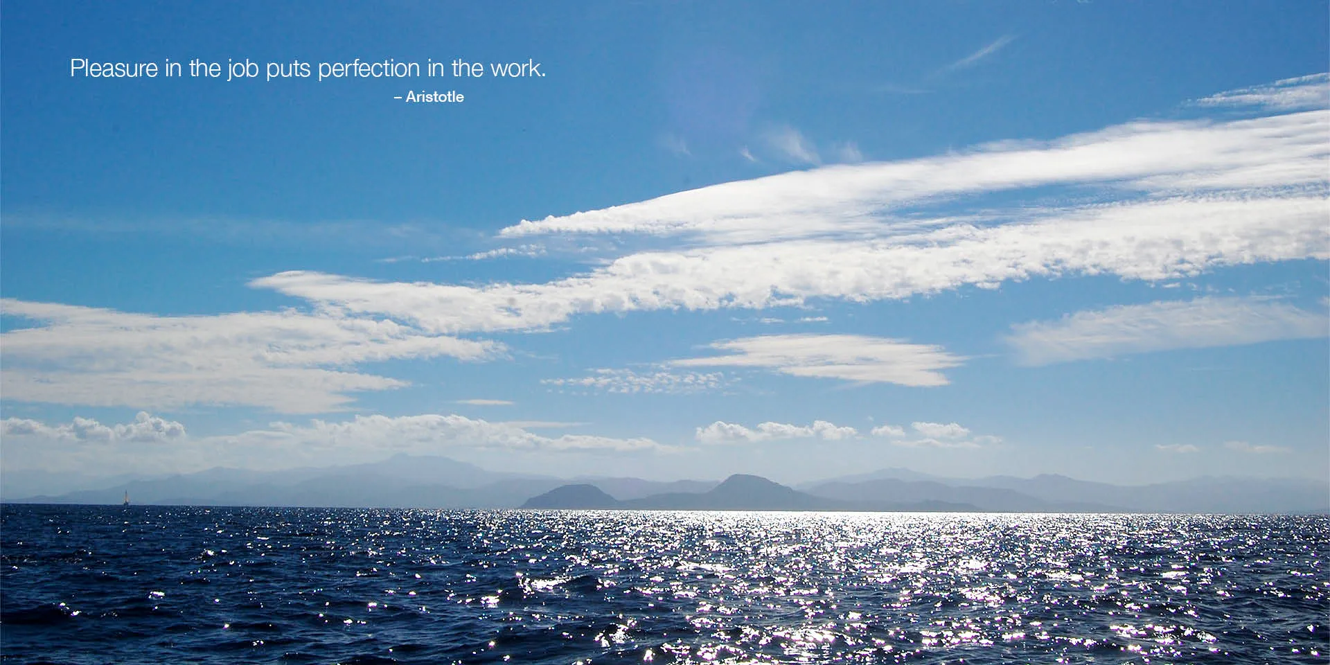 “Pleasure in the job puts perfection in the work.” – Aristotle